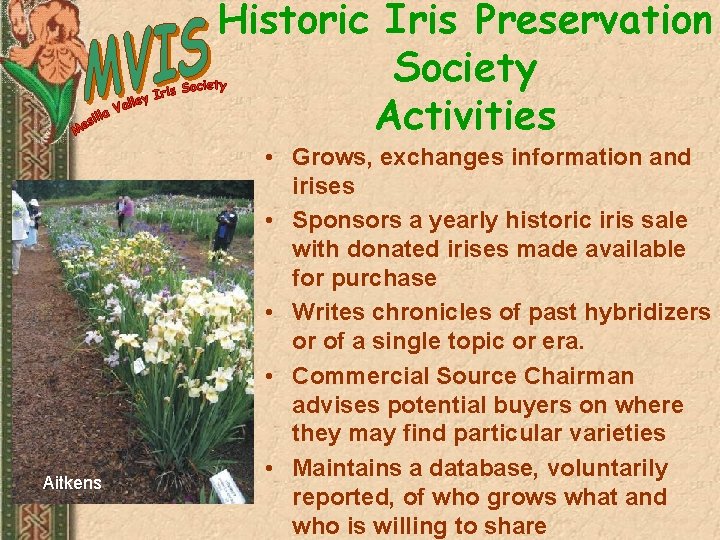 Historic Iris Preservation Society Activities Aitkens • Grows, exchanges information and irises • Sponsors