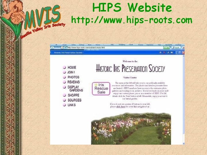 HIPS Website http: //www. hips-roots. com 