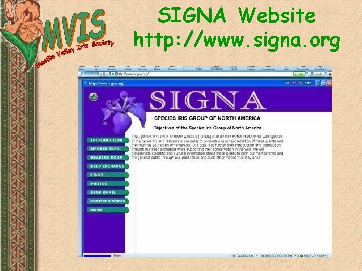 SIGNA Website http: //www. signa. org 