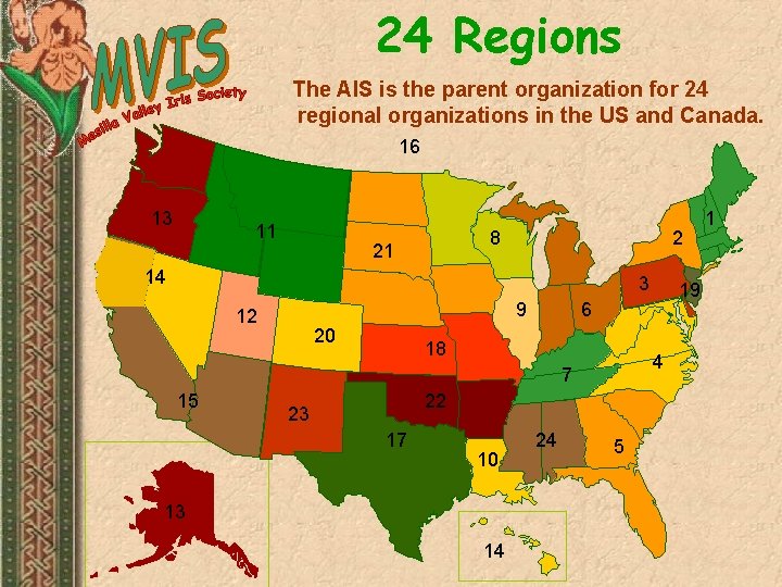 24 Regions The AIS is the parent organization for 24 regional organizations in the