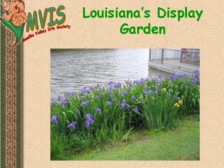 Louisiana’s Display Garden 