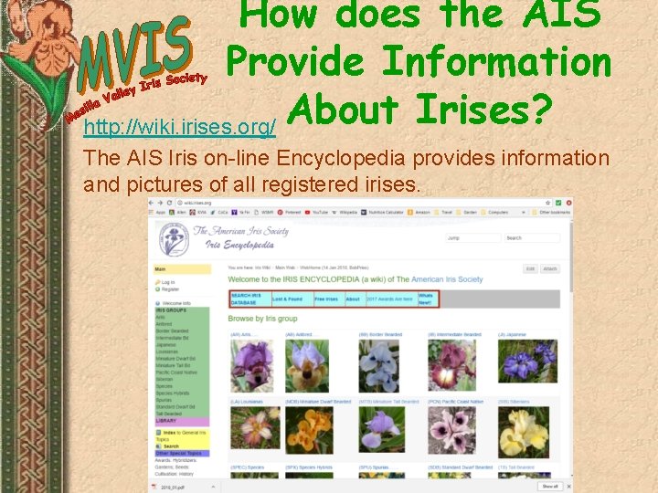 How does the AIS Provide Information About Irises? http: //wiki. irises. org/ The AIS