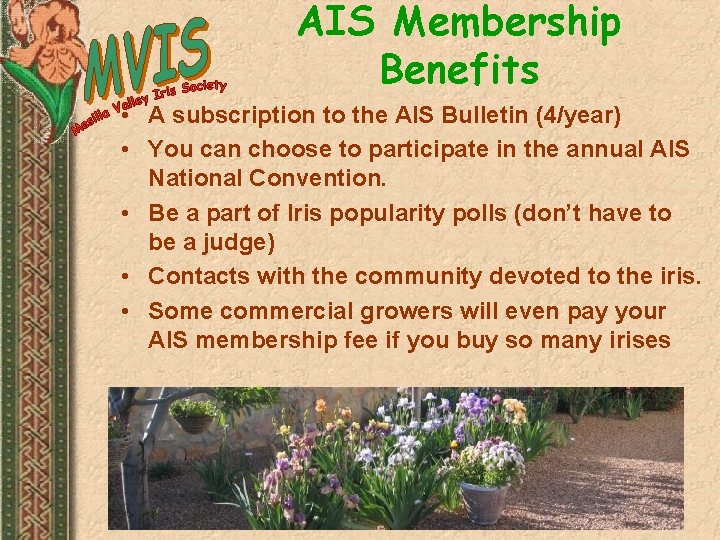 AIS Membership Benefits • A subscription to the AIS Bulletin (4/year) • You can