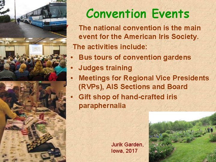 Convention Events The national convention is the main event for the American Iris Society.