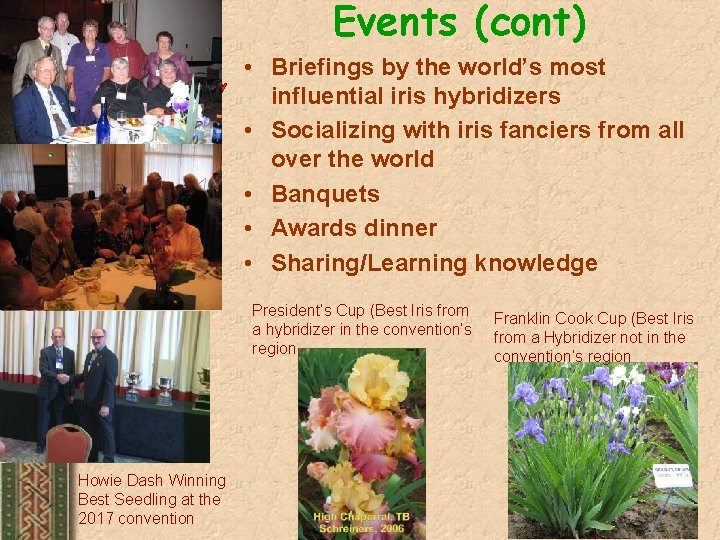 Events (cont) • Briefings by the world’s most influential iris hybridizers • Socializing with