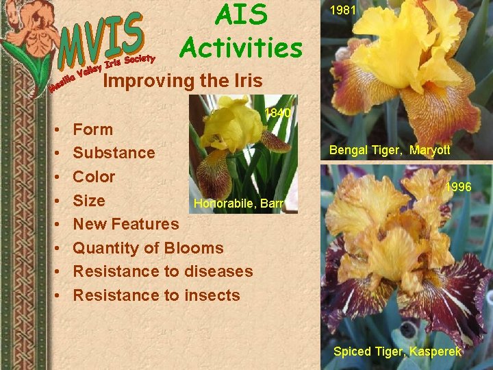 AIS Activities 1981 Improving the Iris • • 1840 Form Substance Color Size Honorabile,