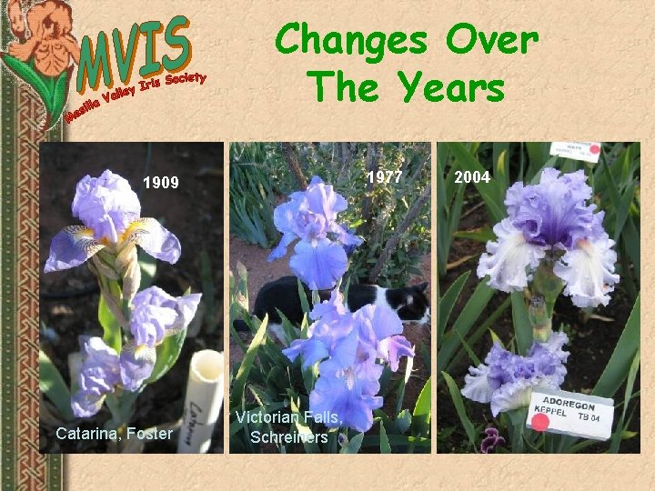 Changes Over The Years 1977 1909 Catarina, Foster Victorian Falls, Schreiners 2004 