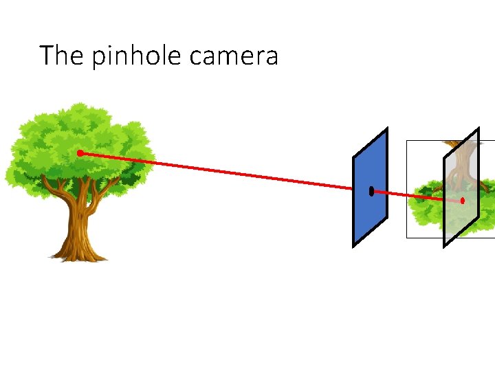 The pinhole camera 