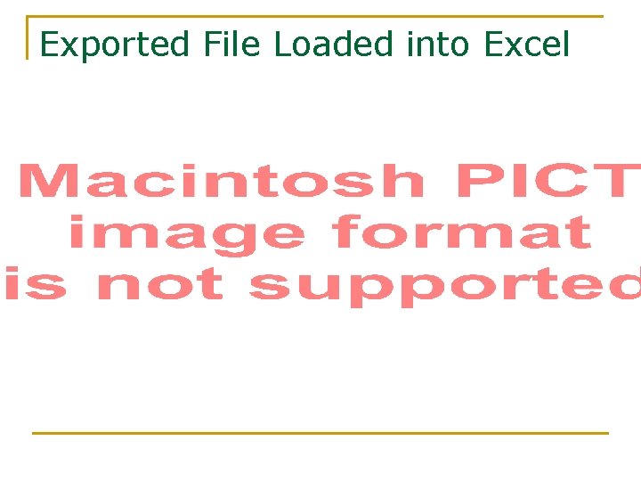 Exported File Loaded into Excel 