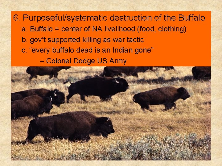 6. Purposeful/systematic destruction of the Buffalo a. Buffalo = center of NA livelihood (food,