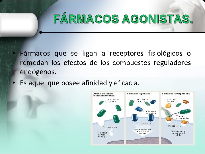 FÁRMACOS AGONISTAS. • Fármacos que se ligan a receptores fisiológicos o remedan los efectos