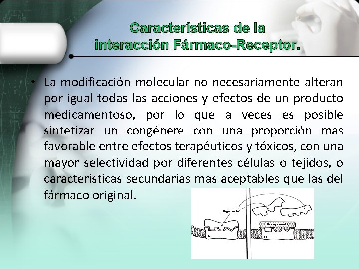 Características de la interacción Fármaco-Receptor. • La modificación molecular no necesariamente alteran por igual