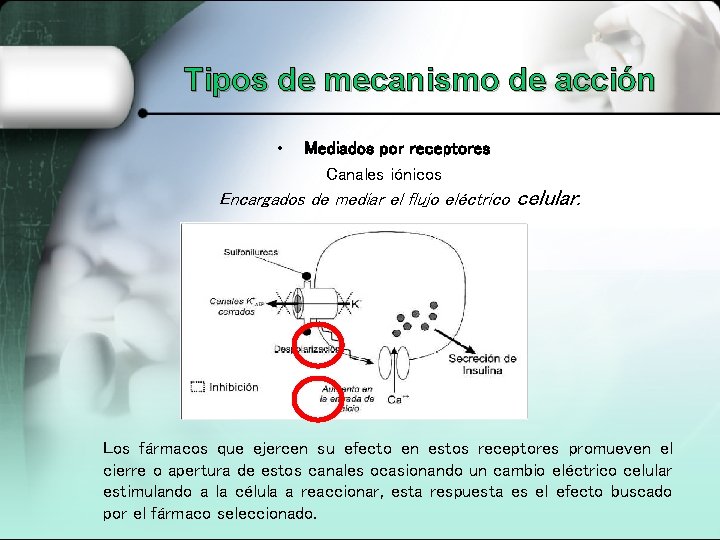 Tipos de mecanismo de acción • Mediados por receptores Canales iónicos Encargados de mediar