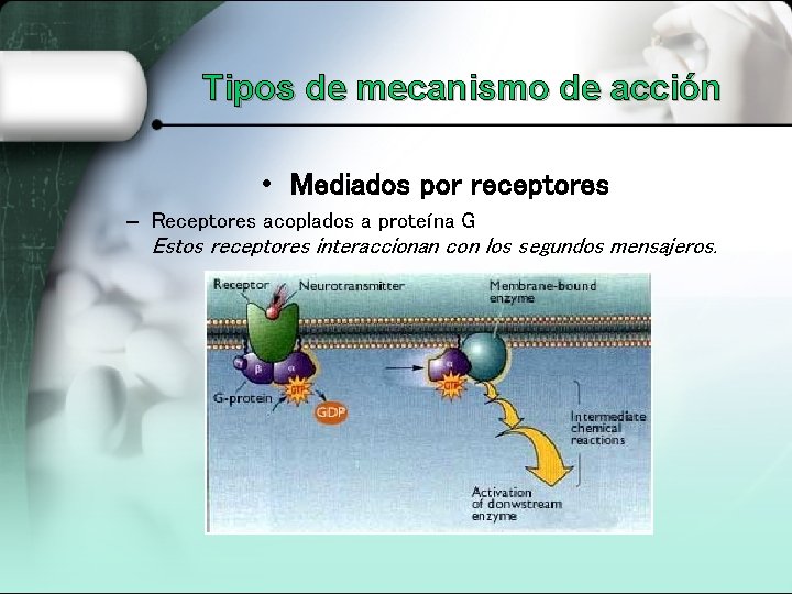 Tipos de mecanismo de acción • Mediados por receptores – Receptores acoplados a proteína