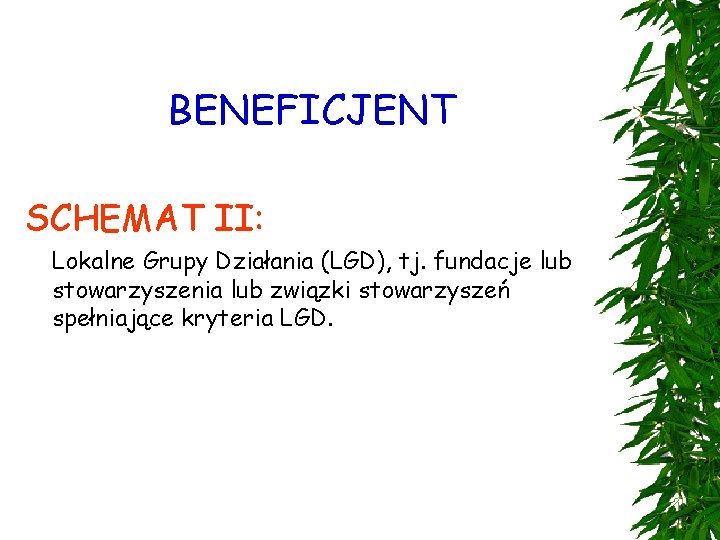 BENEFICJENT SCHEMAT II: Lokalne Grupy Działania (LGD), tj. fundacje lub stowarzyszenia lub związki stowarzyszeń