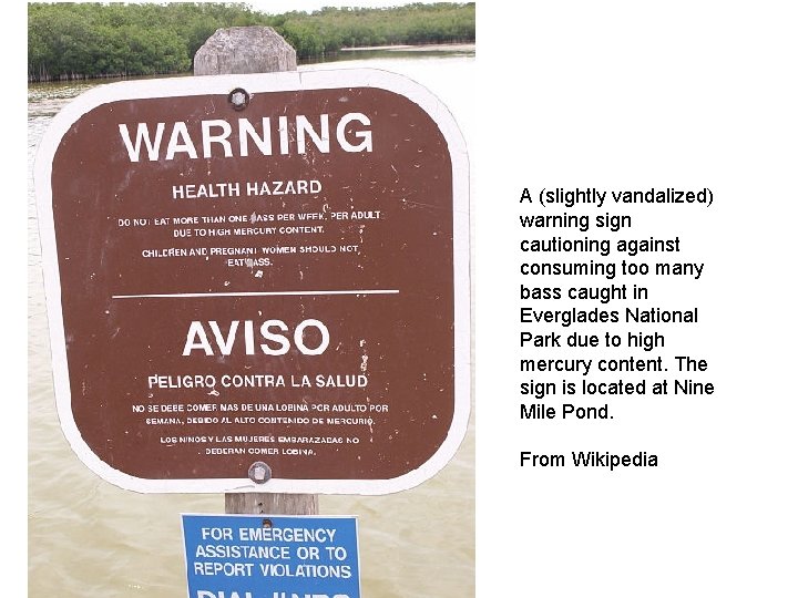 A (slightly vandalized) warning sign cautioning against consuming too many bass caught in Everglades