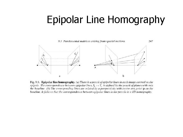 Epipolar Line Homography 