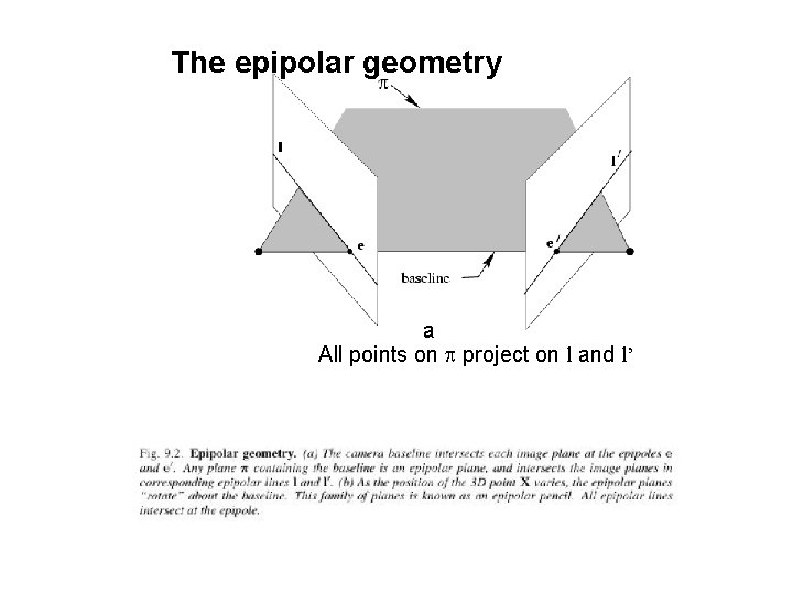 The epipolar geometry a All points on p project on l and l’ 