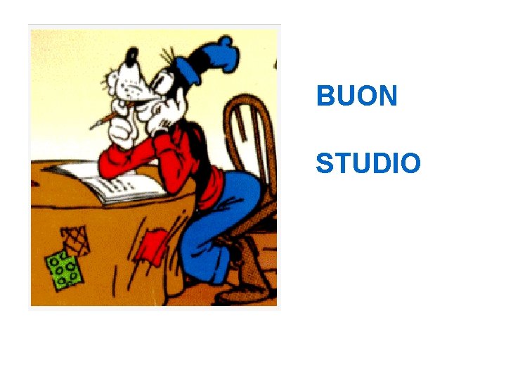 BUON STUDIO 