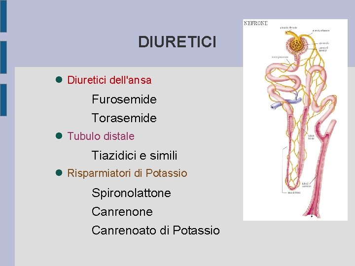 DIURETICI Diuretici dell'ansa Furosemide Torasemide Tubulo distale Tiazidici e simili Risparmiatori di Potassio Spironolattone