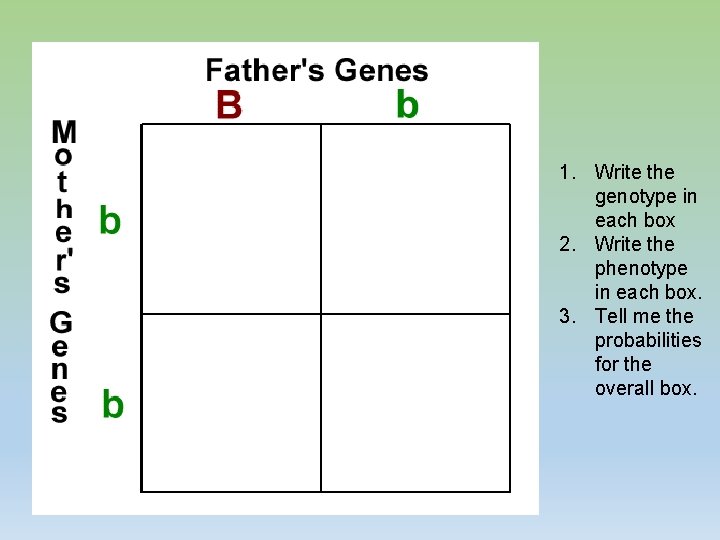 1. Write the genotype in each box 2. Write the phenotype in each box.