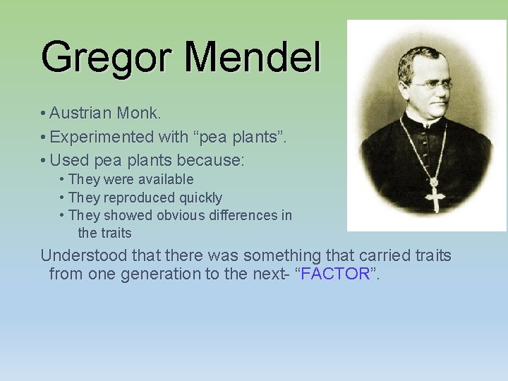 Gregor Mendel • Austrian Monk. • Experimented with “pea plants”. • Used pea plants