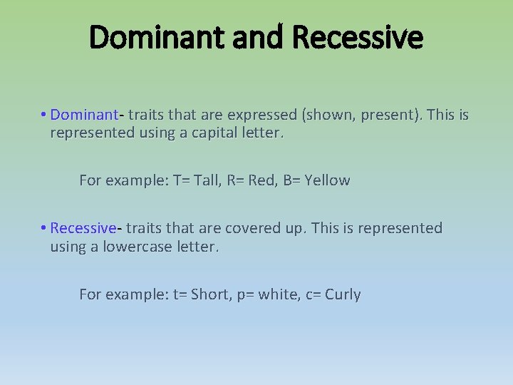 Dominant and Recessive • Dominant- traits that are expressed (shown, present). This is represented