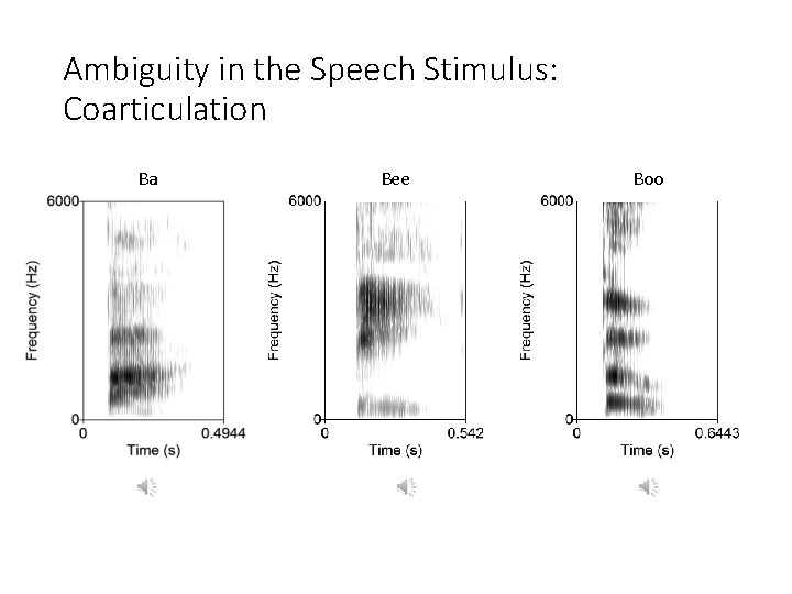 Ambiguity in the Speech Stimulus: Coarticulation Ba Bee Boo 