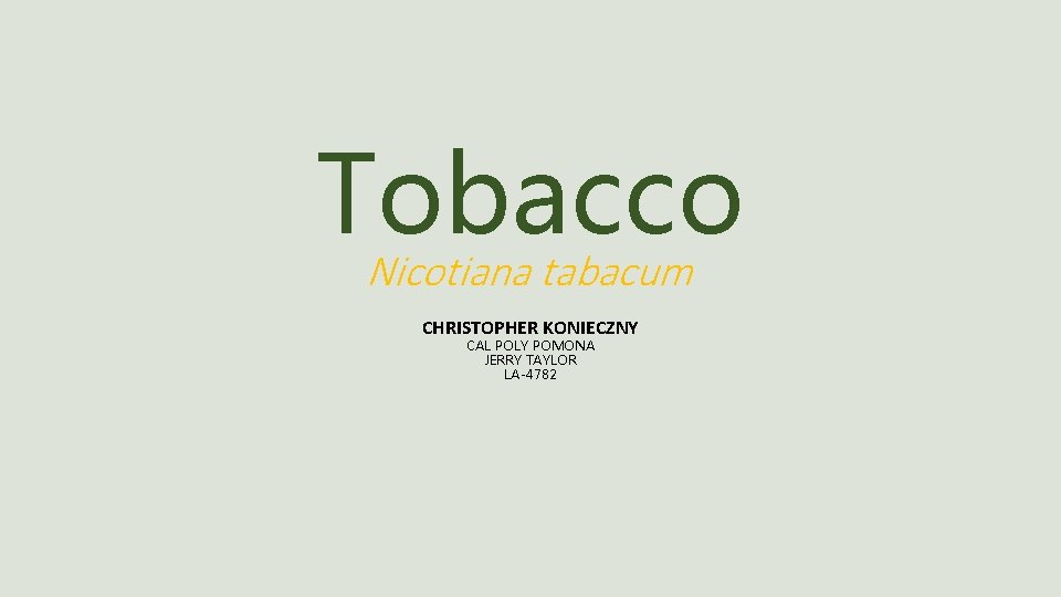 Tobacco Nicotiana tabacum CHRISTOPHER KONIECZNY CAL POLY POMONA JERRY TAYLOR LA-4782 