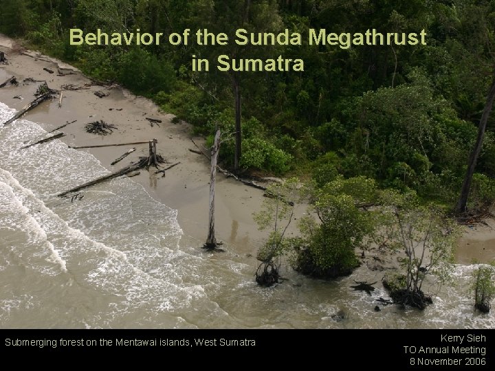 Behavior of the Sunda Megathrust in Sumatra Submerging forest on the Mentawai islands, West
