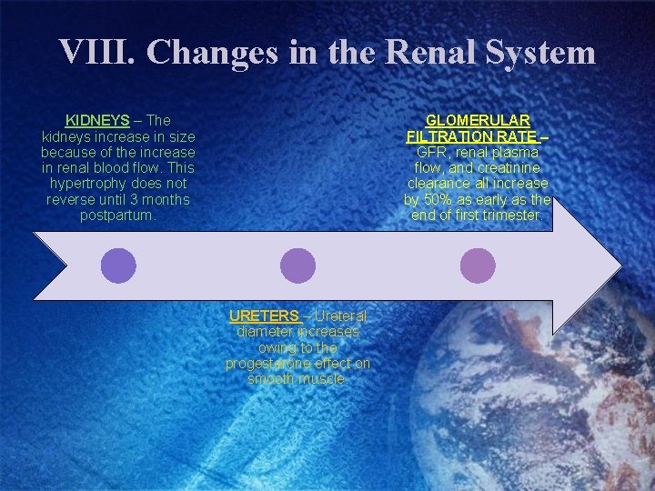 VIII. Changes in the Renal System KIDNEYS – The kidneys increase in size because