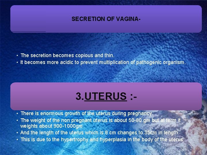 SECRETION OF VAGINA- • The secretion becomes copious and thin. • It becomes more