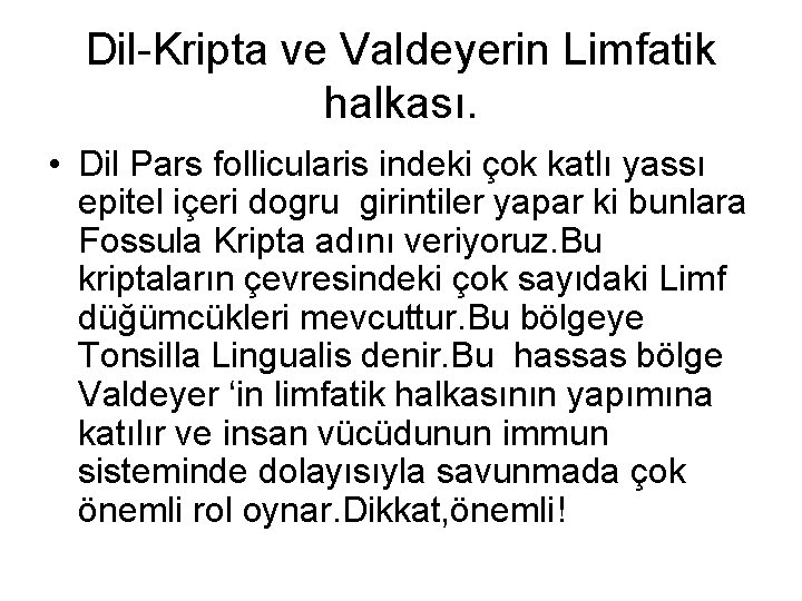 Dil-Kripta ve Valdeyerin Limfatik halkası. • Dil Pars follicularis indeki çok katlı yassı epitel