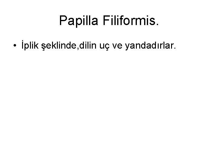 Papilla Filiformis. • İplik şeklinde, dilin uç ve yandadırlar. 