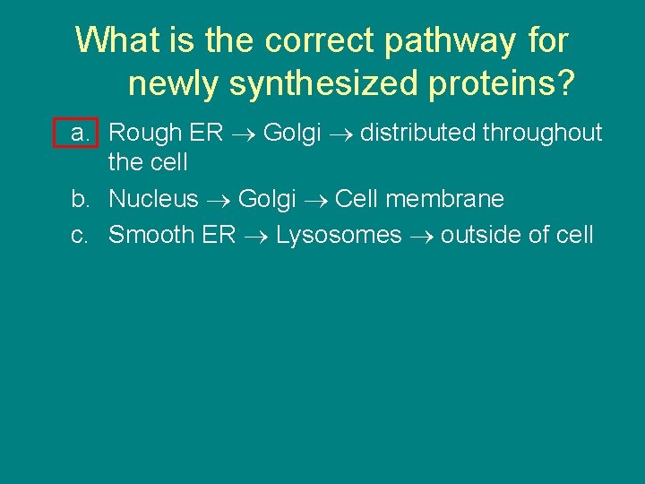 What is the correct pathway for newly synthesized proteins? a. Rough ER Golgi distributed