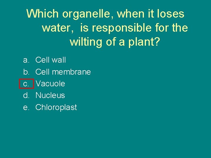 Which organelle, when it loses water, is responsible for the wilting of a plant?