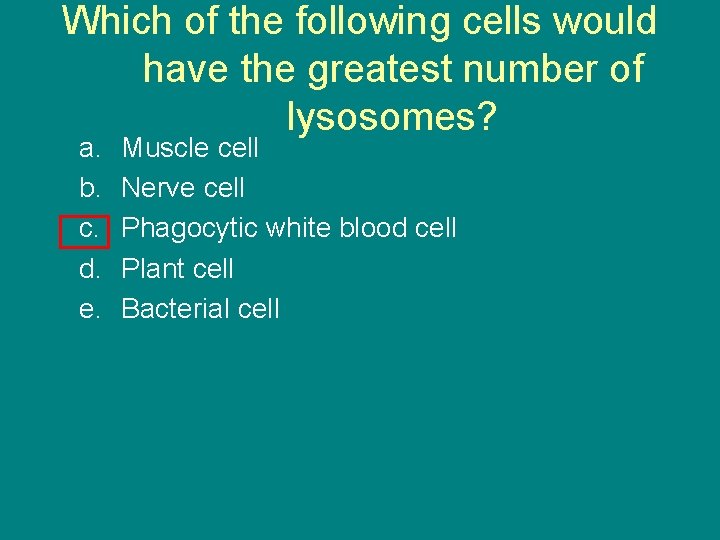 Which of the following cells would have the greatest number of lysosomes? a. b.