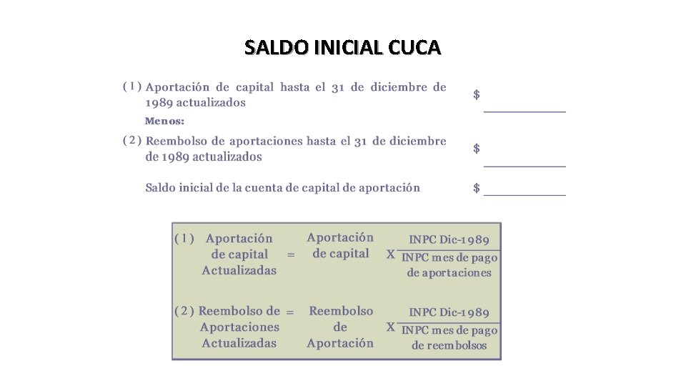 SALDO INICIAL CUCA 