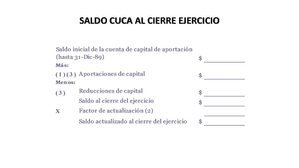 SALDO CUCA AL CIERRE EJERCICIO 