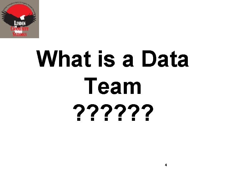 What is a Data Team ? ? ? 4 