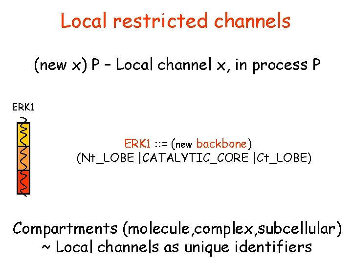 Local restricted channels (new x) P – Local channel x, in process P ERK