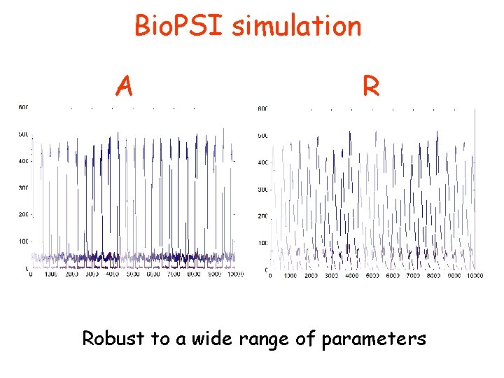 Bio. PSI simulation A R Robust to a wide range of parameters 