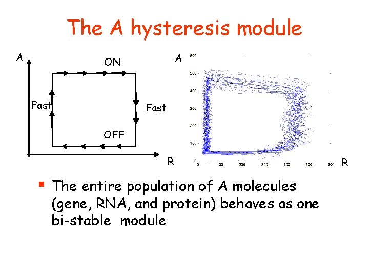 The A hysteresis module A A ON Fast OFF R § The entire population