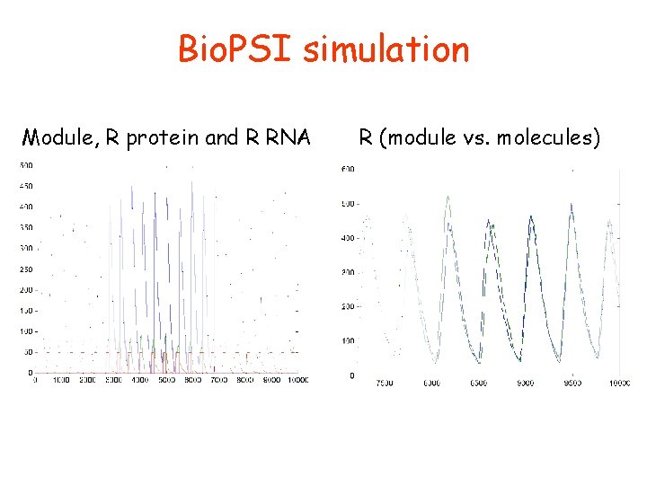 Bio. PSI simulation Module, R protein and R RNA R (module vs. molecules) 
