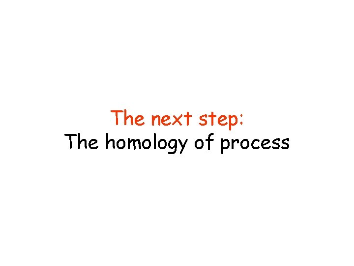 The next step: The homology of process 