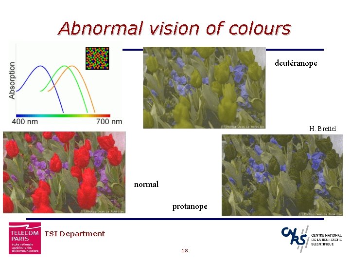 Abnormal vision of colours deutéranope H. Brettel normal protanope TSI Department 18 