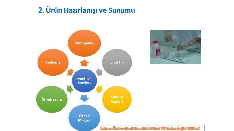 2. Ürün Hazırlanışı ve Sunumu Homojenlik Sıcaklık Kodlama Örneklerin Sunuluşu Sunum kapları Örnek sayısı