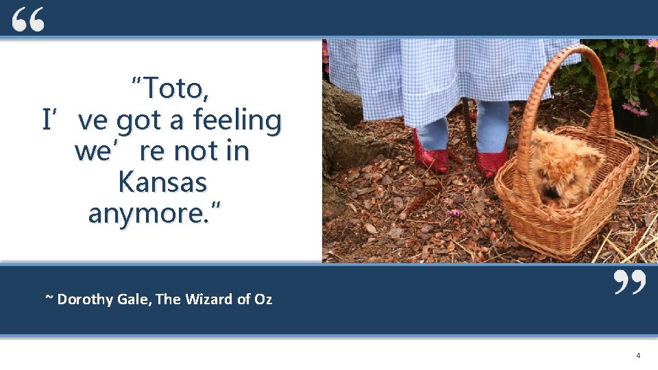 “Toto, I’ve got a feeling we’re not in Kansas anymore. ” ~ Dorothy Gale,