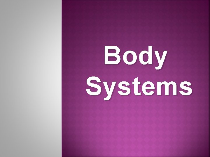 Body Systems 