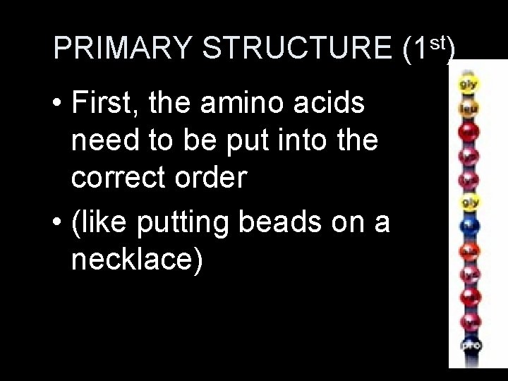 PRIMARY STRUCTURE (1 st) • First, the amino acids need to be put into